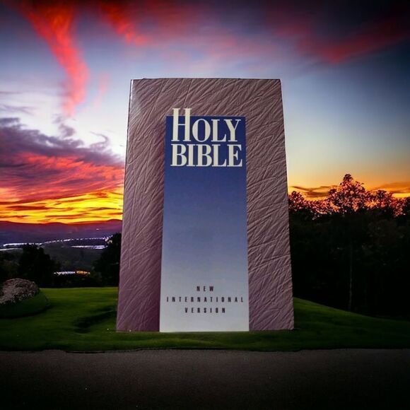 NIV Bible Paperback New International Edition 1986 Zondervan Publishing Witness. - Picture 16 of 16